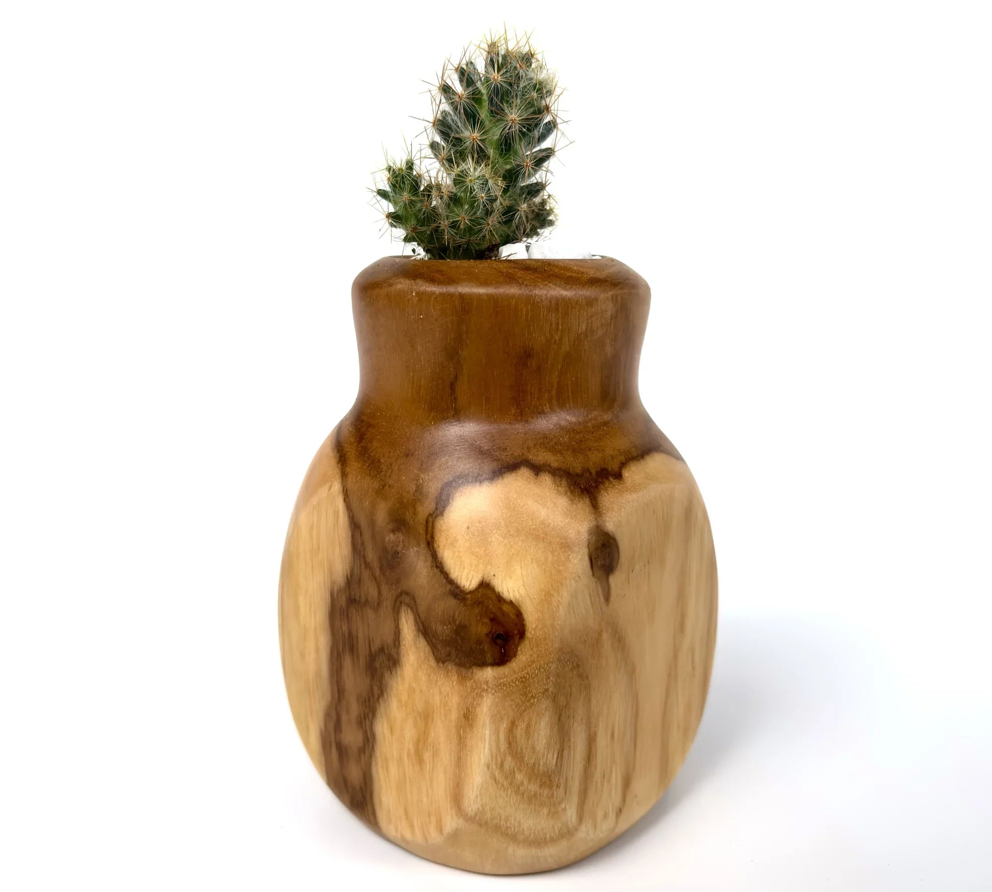 Stylish cactus pot – enhance your home décor - wp002