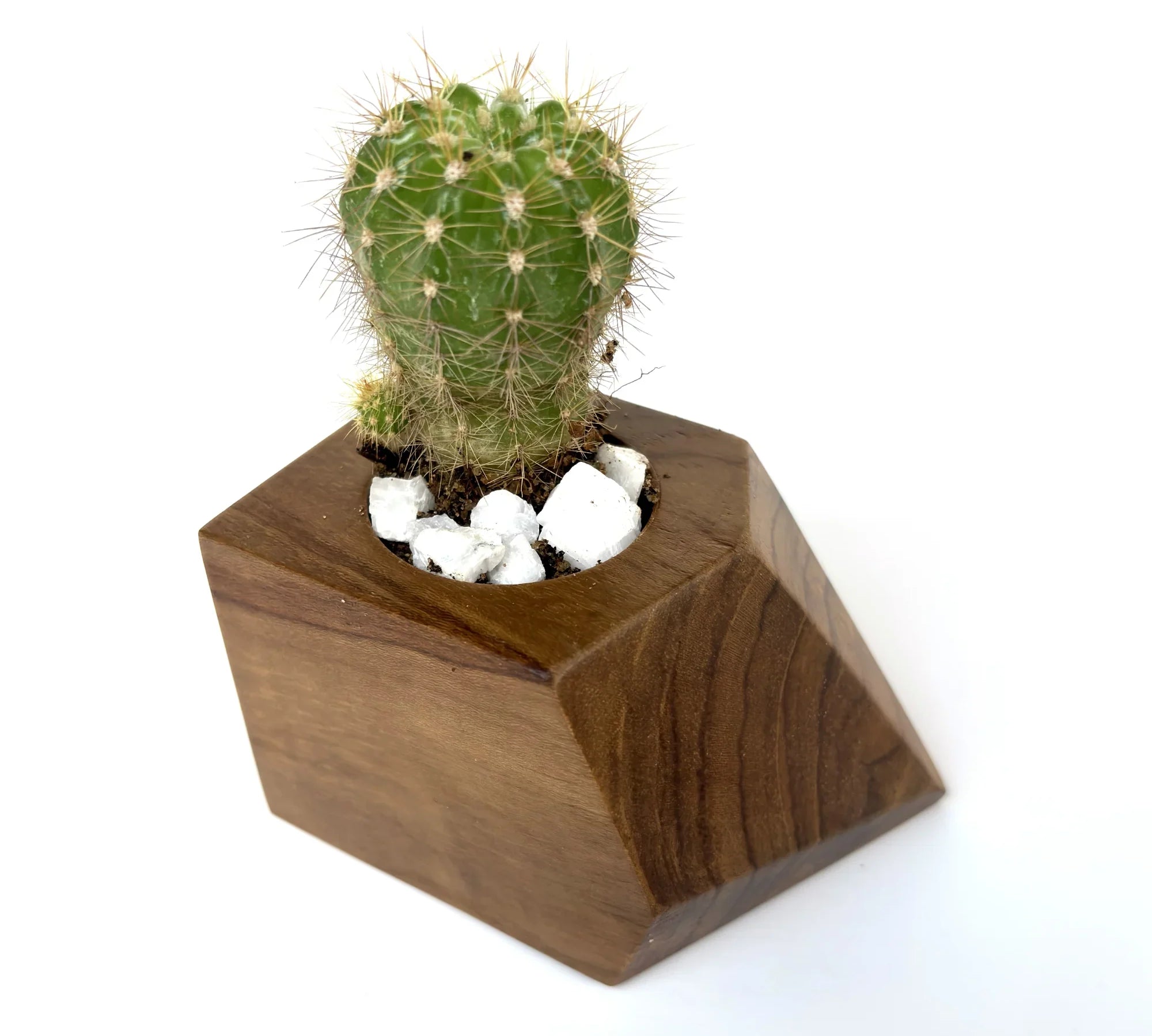 Artisan cactus pot – unique design - wp006