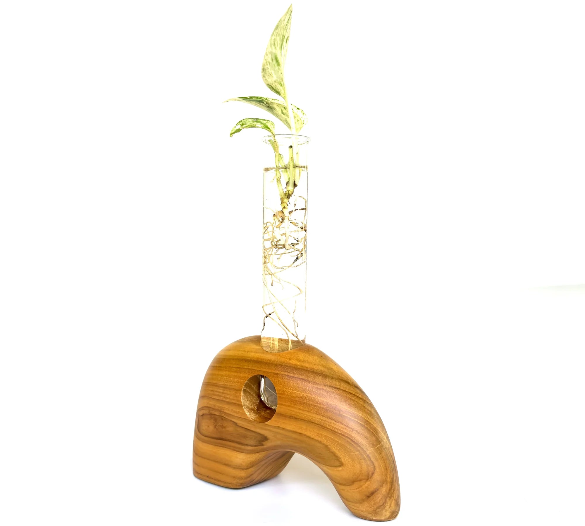 Elephant-Shaped Solid Wood Test Tube Vase