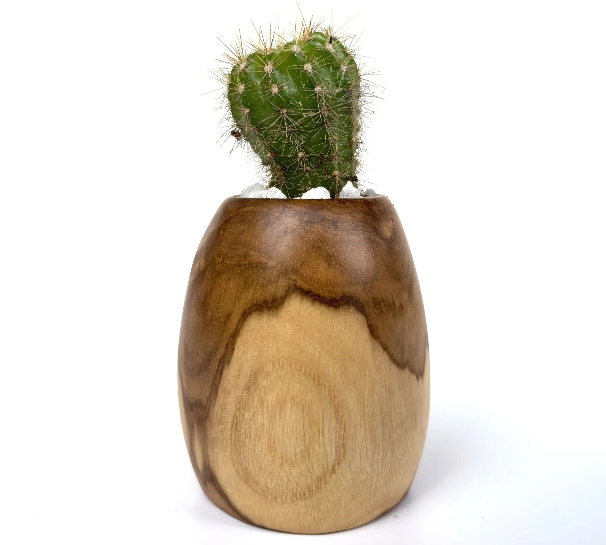 Handcrafted wooden pot – a beautiful home for your plants - wp003