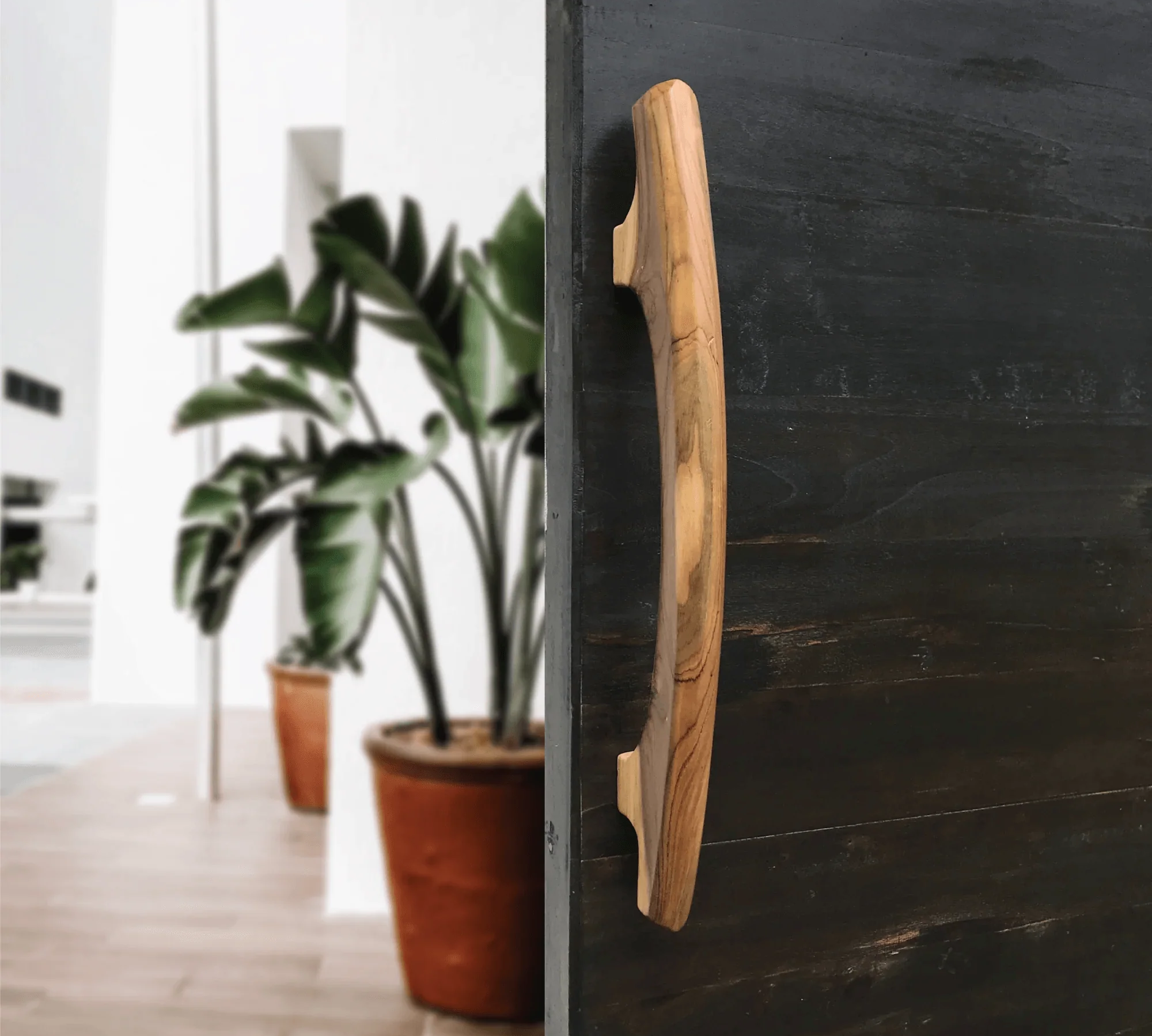 Wood Ceylon handmade teak door handle mounted on a dark wooden door with plants in background